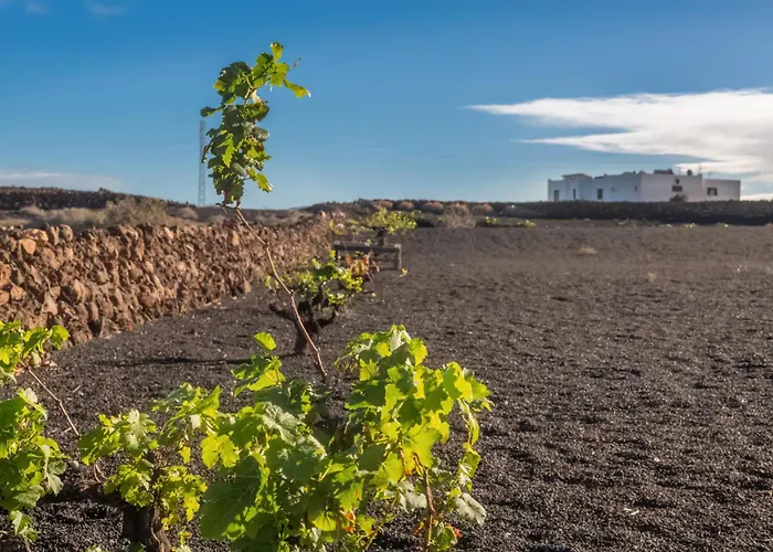 בית נופש Almar *