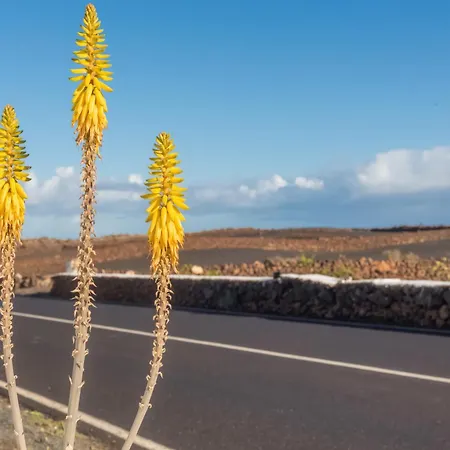 Сasa de vacaciones Almar